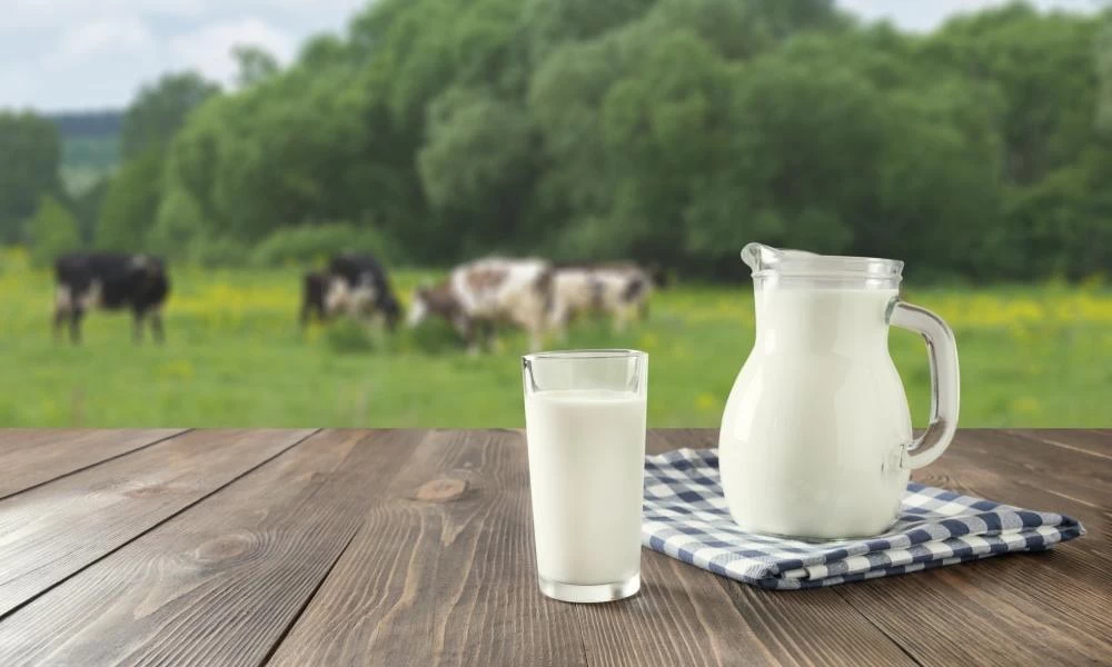 Τι λένε για την χοληστερίνη σε σχέση με την κατανάλωση γάλακτος